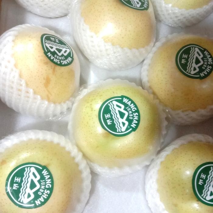 

Glx buah pear golden manis banyak air 1 kg