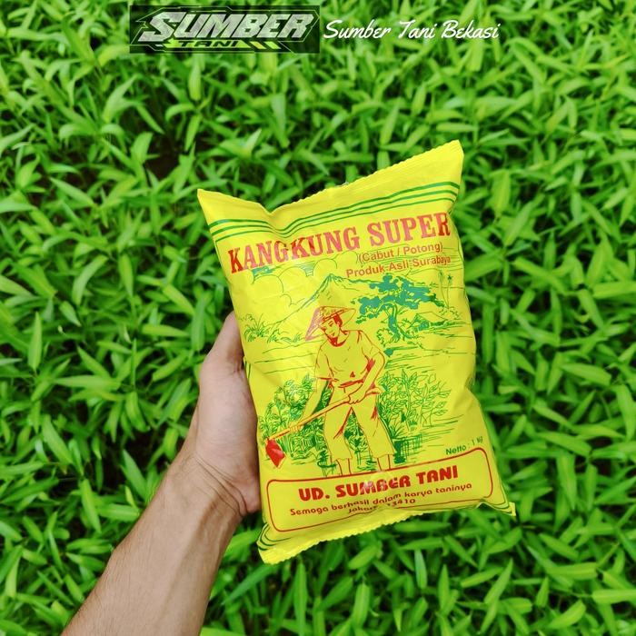 Bibit Kangkung Super 1 KG