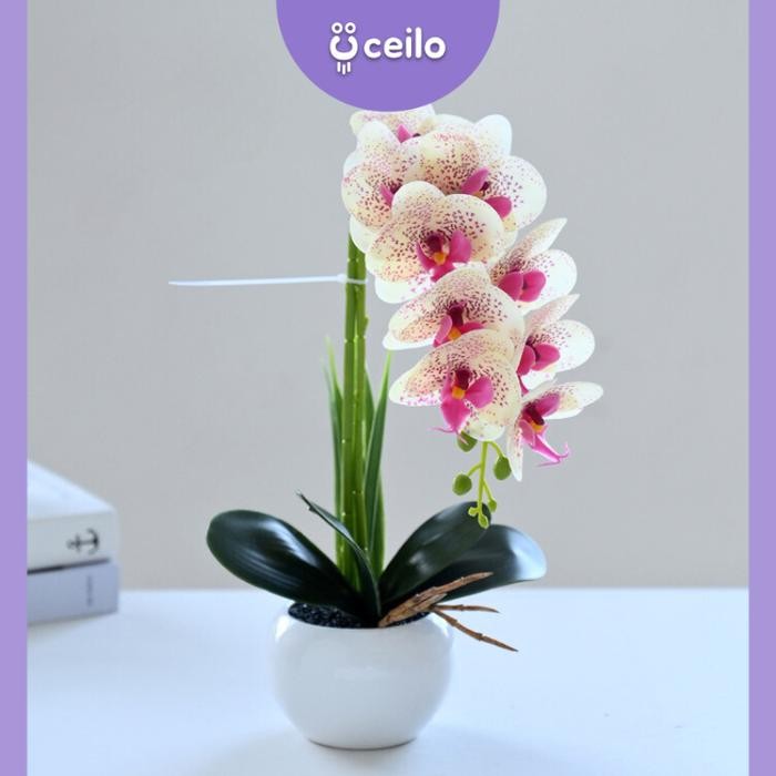CEILO Bunga Anggrek Hias Bunga Meja Aesthetic Anggrek Artificial Latex Bunga Latex Pot Keramik Bunga