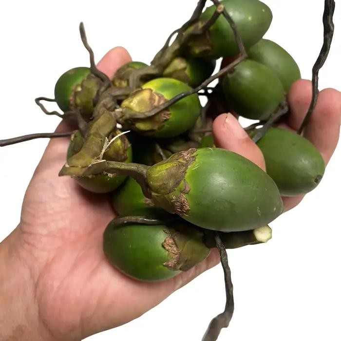 

[Fresh] Penang pening satu kilo makanan tradisional Food