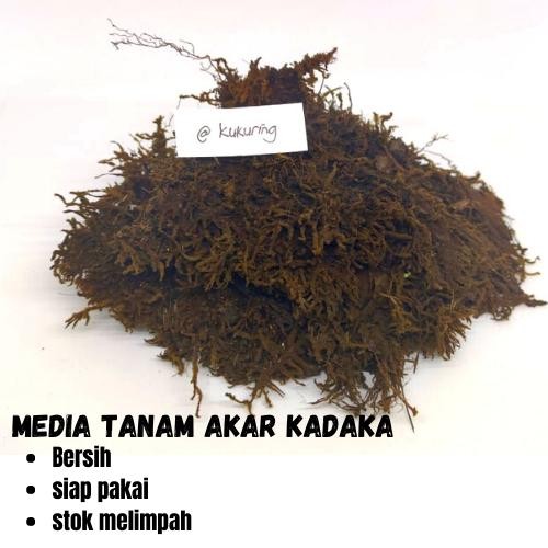 

[Fresh] 1 karung media tanam akar moss kadaka hitam paket 5 - 10kg murah