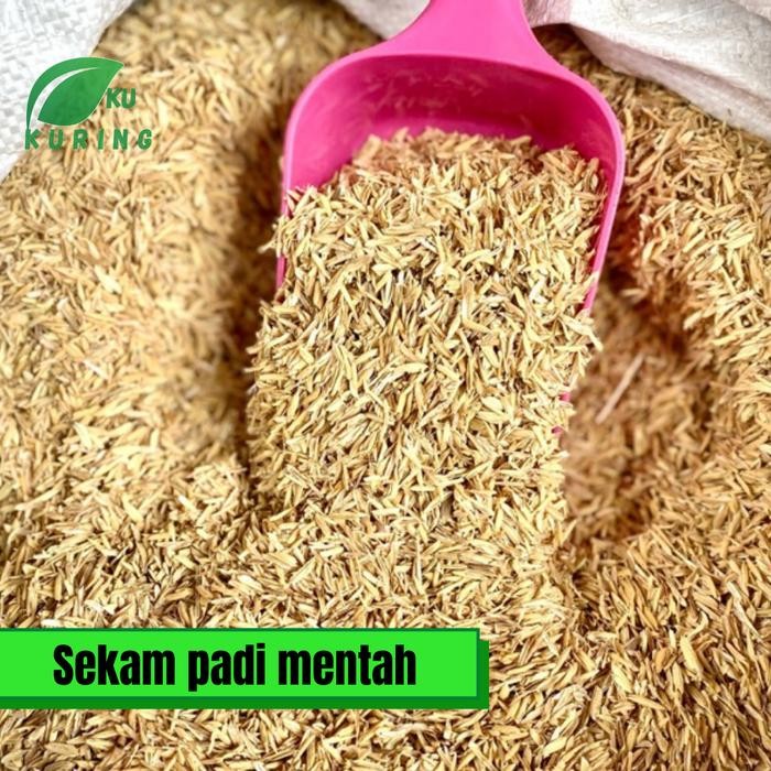 

[Fresh] 1kg sekam padi mentah untuk media tanam dan keperluan lainnya