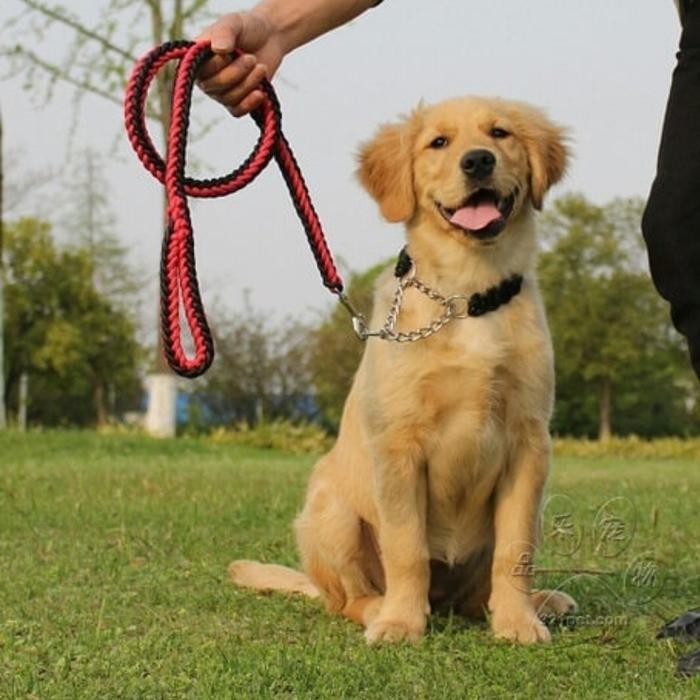 TALI RANTAI ANJING BESAR / DOG LEASH / KUAT TEBAL