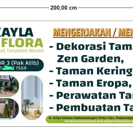 TANAMAN BUAH JERUK KITNAN / JERUK KUNCI / JERUK SUNKIT / TANAMAN BUAH / BIBIT BUAH JERUK _