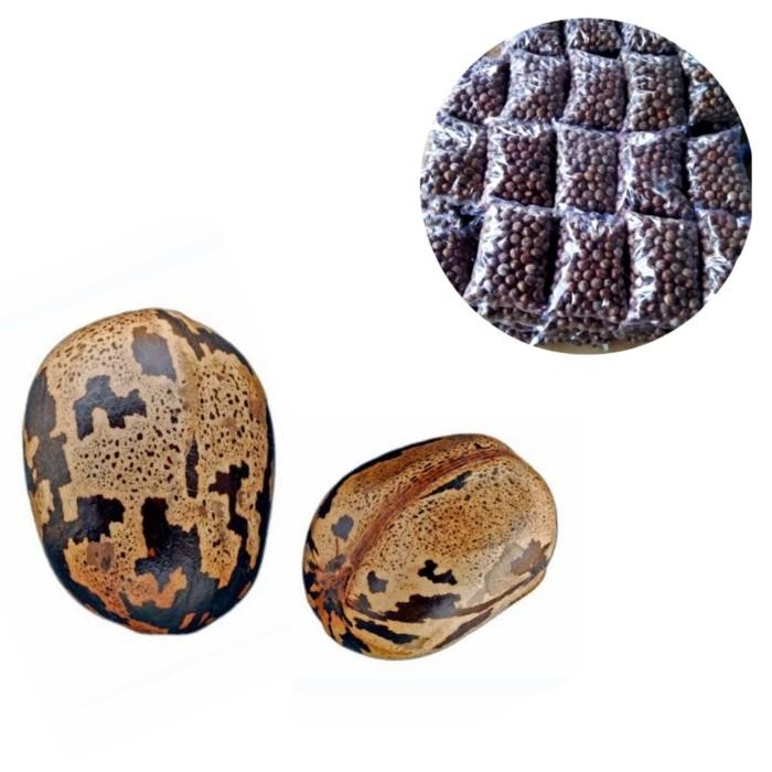 Biji Karet Kiloan Kualitas Terbaik Biji Mengkilat Bisa Untuk Mainan Toys Kode 516