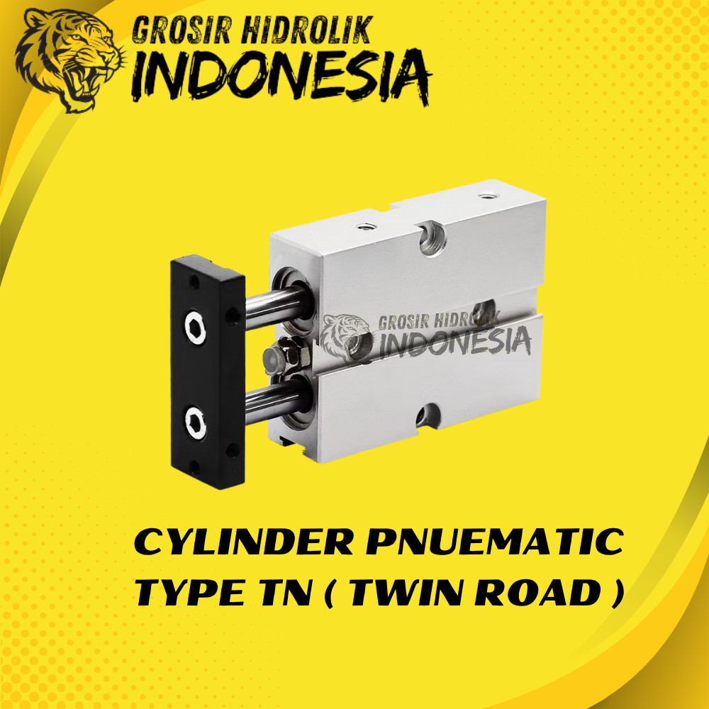 TN 40 x 20 Pneumatic Cylinder Twin Rod / Cylinder Pneumatic Twin Rod Double Stroke Type TN 40x20 Twi