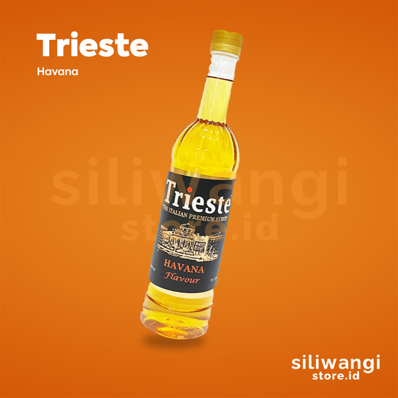 

SILIWANGISTORE - Trieste Syrup hazelnut
