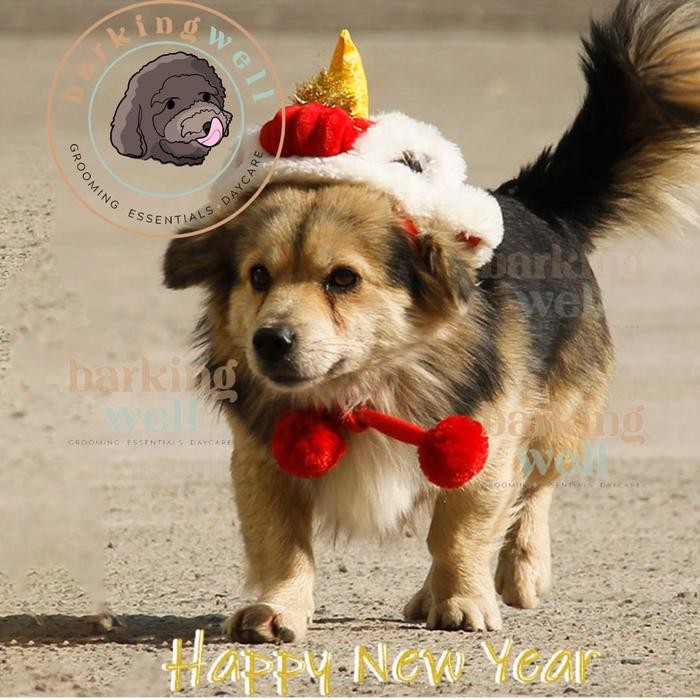 Baju Imlek Anjing Kucing - Topi Barongsai Kostum Imlek Anjing Cny