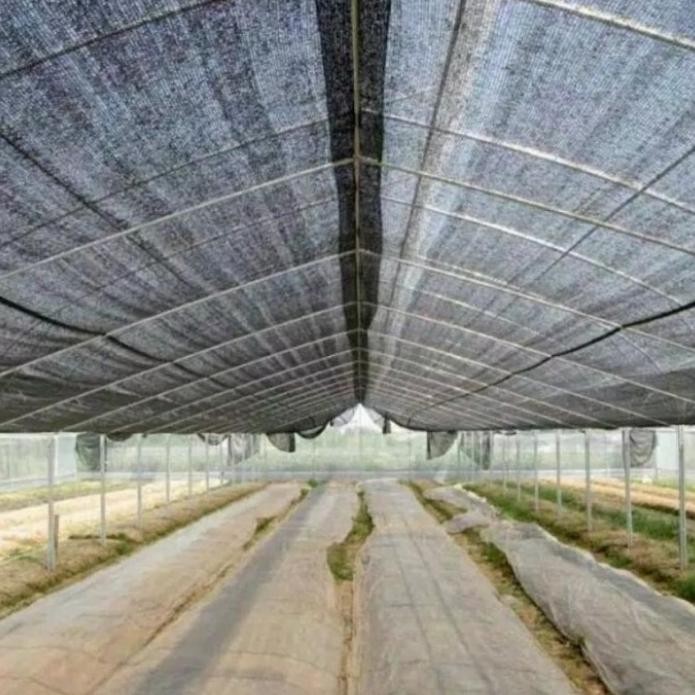 PAKET MURAH Jaring paranet 75% (3m5m) - Jaring paranet 75%