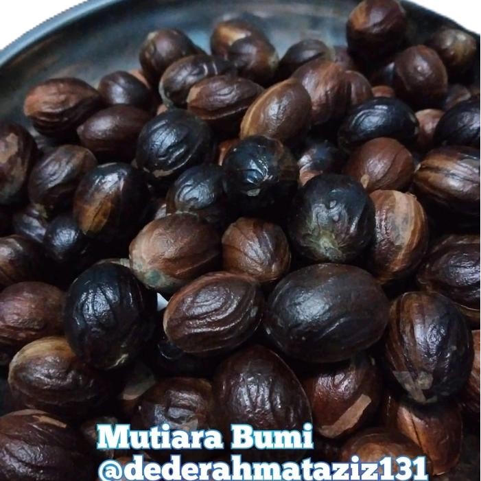 

Biji Pala kering 1kg untuk bumbu Rempah