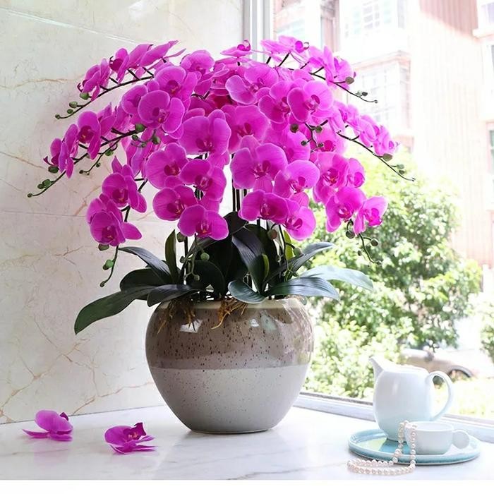 Bunga Anggrek Artificial Latex Import Premium-Fuschia