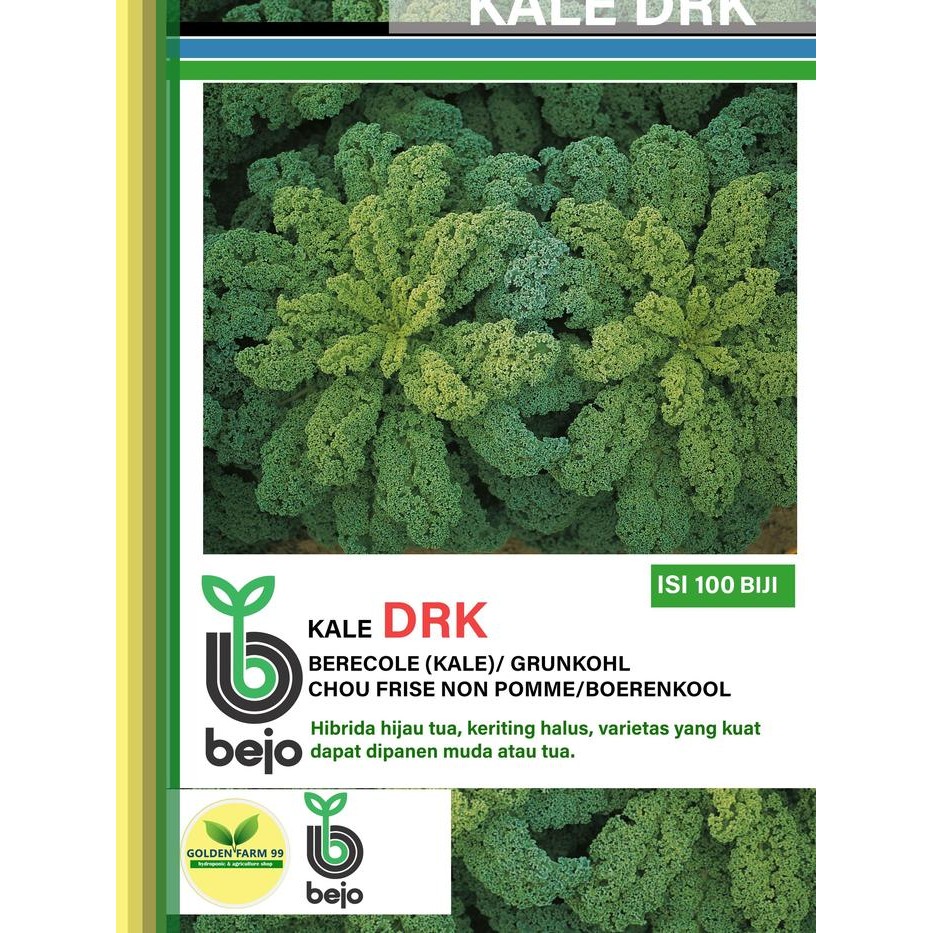Benih KALE Darkibor Bejo seed -