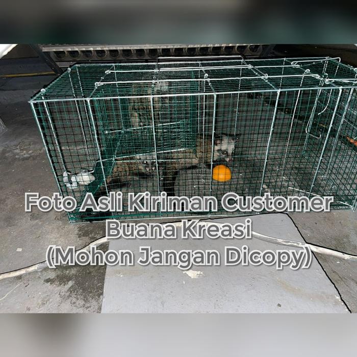 (Allthebest) Jebakan Perangkap Musang