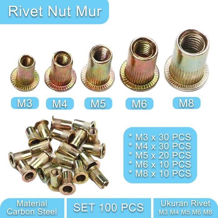 100 PCS Rivet Nut Bibir Tebal M3 M4 M5 M6 M8 Mur Rivet Furniture Carbon Steel Zinc Plated