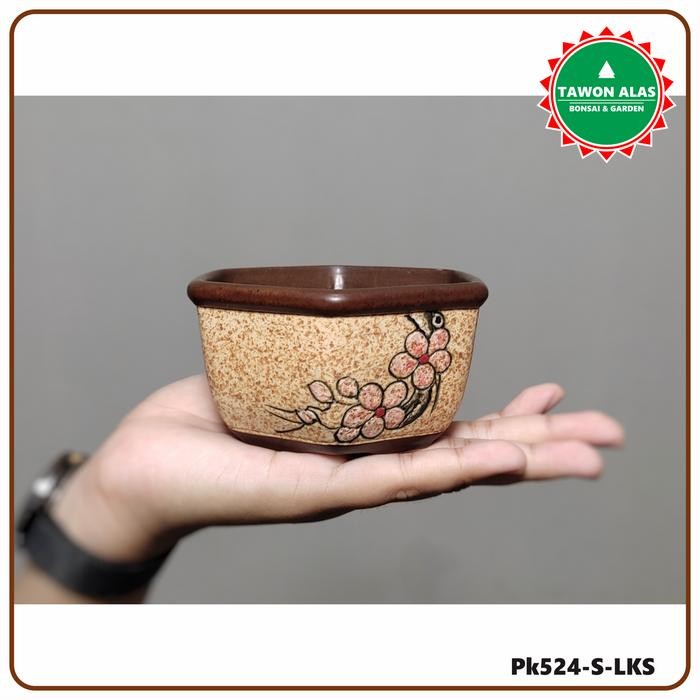 Pot Keramik Bonsai Sukulen Kaktus Segi Enam Kecil Small Bukan Plastik