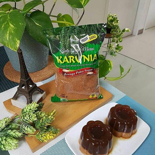 

(Expert) Gula Aren Karunia "Special Edition" (isi 24 bks)