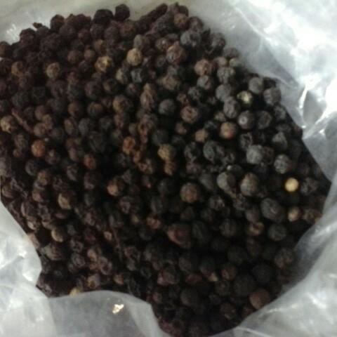 

(Expert) Merica/Lada Hitam Bulat