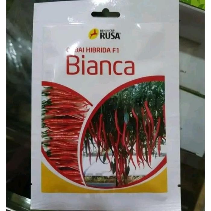 TERBATAS Benih bibit Cabe Keriting Bianca F1 10 gram