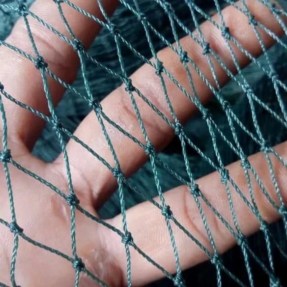 Jaring ayam jaring pagar ayam/jaring kandang ayam