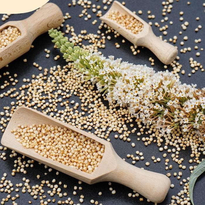 

Quinoa Organic Import 450gr Original Premium