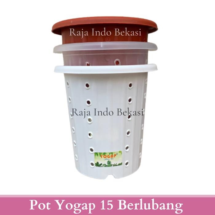 Raja Indo Pot Yogap 15 Berlubang Pot Yogap 15 Putih Transparan Merah Bata Pot Bunga Hias Aglonema