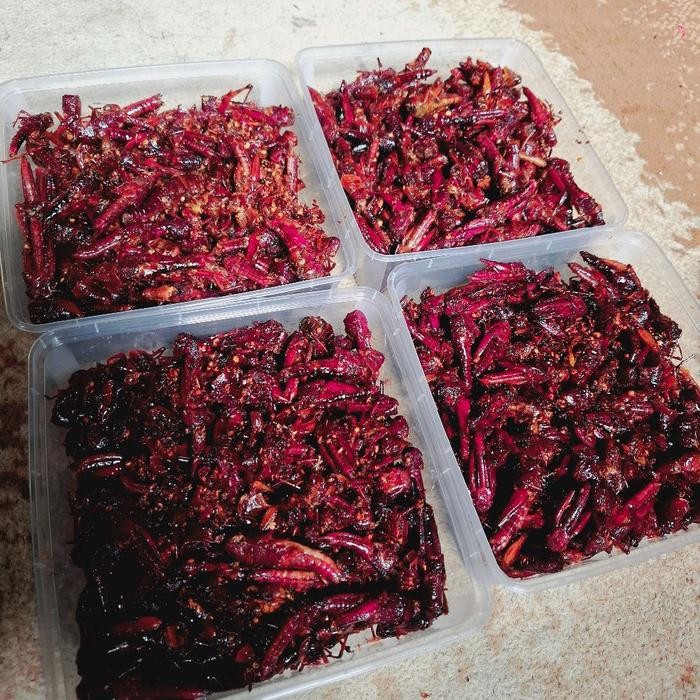 

walang goreng box ukuran 1000ml pedes guri mantap #walang #belalangkayu #blora #makananextram