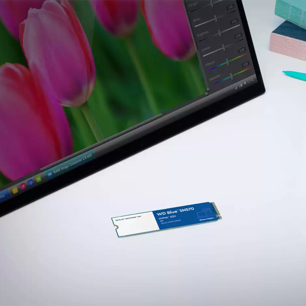 Western Digital WD Blue SN570 NVMe 250GB 500GB 1TB 2TB SSD M.2 2280 Internal Solid State Drive For