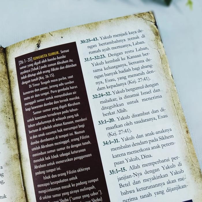 

Promo The Illustrated Bible Handbook Tbk