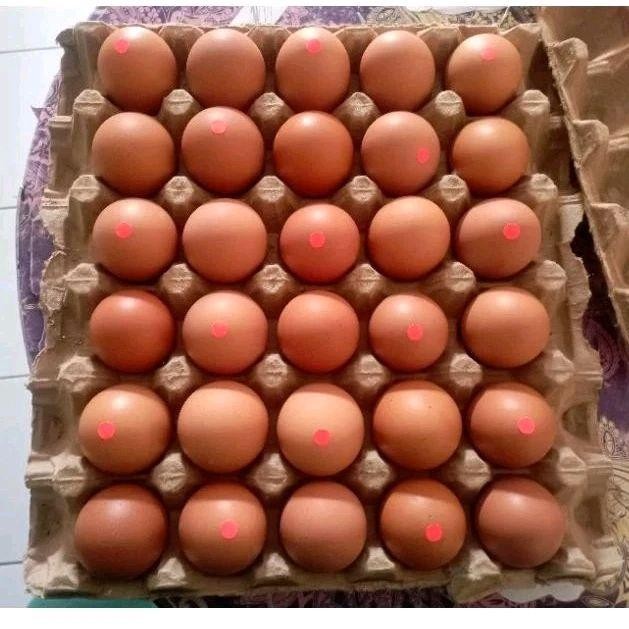 

(Expert) Telur Ayam Super Premium 30 Butir