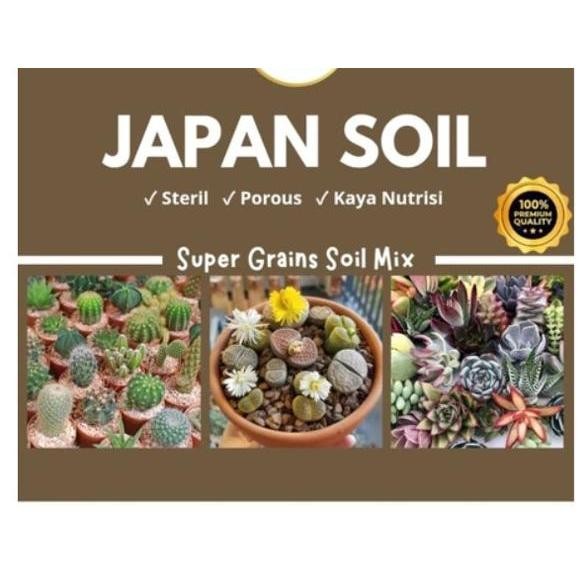 Japan Soil Media Tanam Lithops Kaktus Succulent Monstera Anthurium Tanpa Tanah Siap Pakai Porous