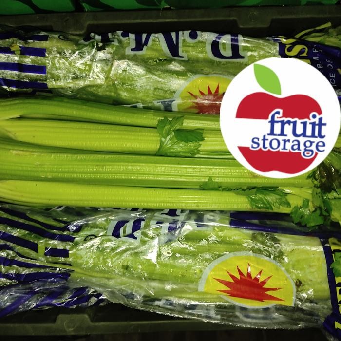 

New Celery Stick / Celery Stalk / Batang Seledri untuk jus