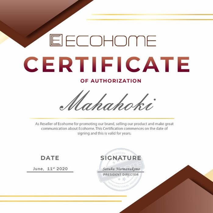 Ecohome Slow Juicer Esj-999(Rpm 40) Pengekstrak Buah Import