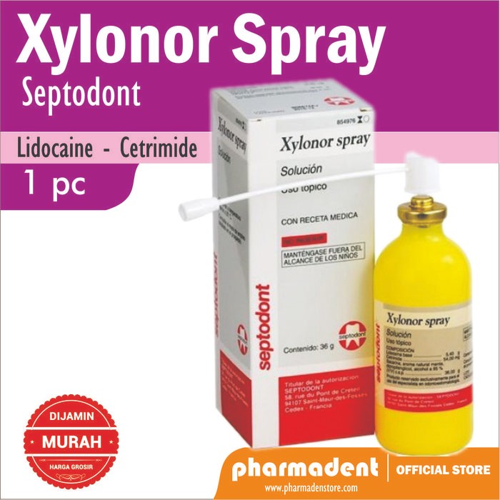 Z_ZT Anastesi Xylonor Spray 36Gr Septodont / Xilonibsa