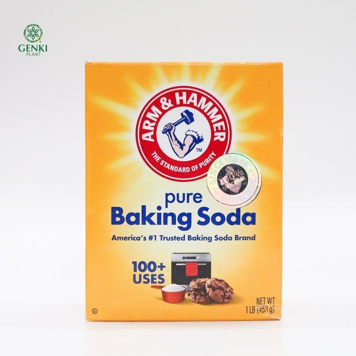 

Ready Arm & Hammer Pure Baking Soda - 453 G