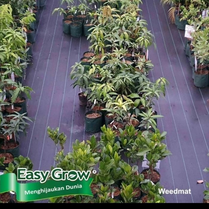 OSS8 Weedmat Control Eceran , Mulsa Weedmat , Penutup Permukaan Tanah