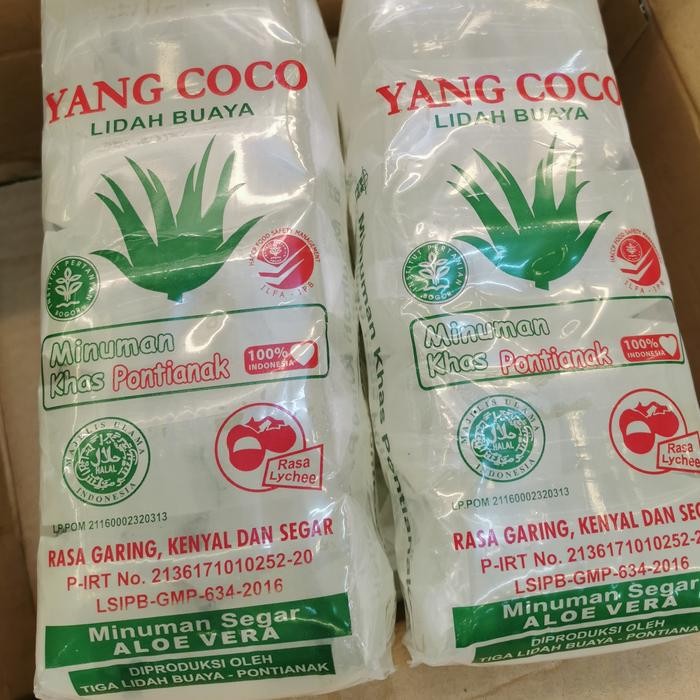 

4ZMI Buah Aloevera Manisan Lidah Buaya Manis Pontianak Nata De Coco Jelly