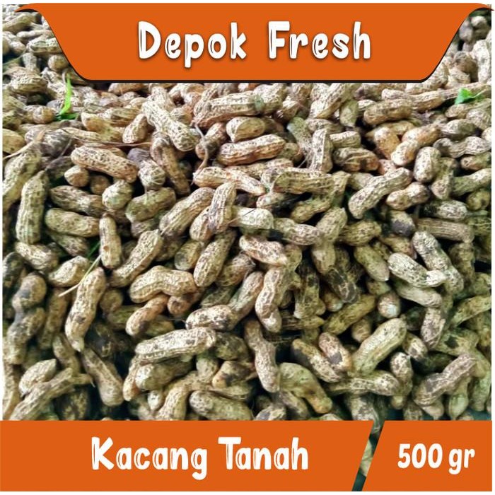 

4ZMI Kacang Tanah Segar Mentah Kulit 500 Gr