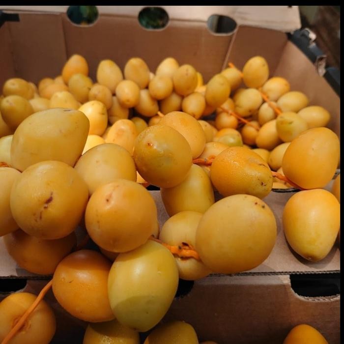 

SIAPKIRIM Kurma Muda Barhee Fresh Mentah / Manis Mengkel / 100gr READY STOCK