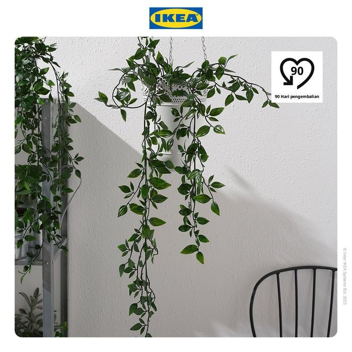 NEW IKEA FEJKA Tanaman Hias Gantung dengan Pot 9 cm