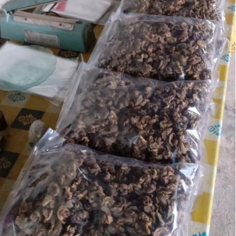 

Bekicot Original 100gr tanpa tepung - Snack Makanan Kaya Manfaat - Food Camilan Pedas Cemilan