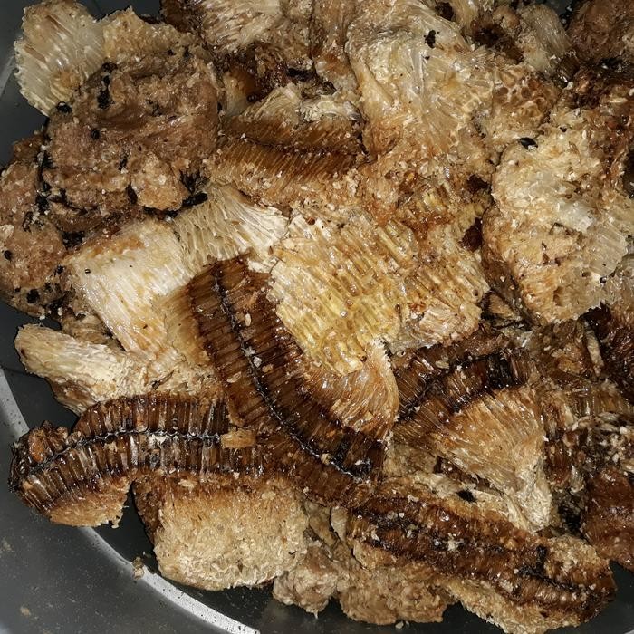 (Allthebest) Lilin Lebah / Beeswax 1kg Asli dan Murni dari sarang lebah