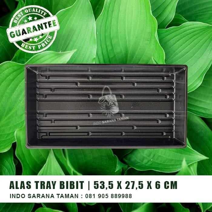 Alas Tray Alas Tray Semai Tatakan Tray Tatakan Tray Semai *