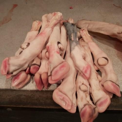 (Allthebest) Kikil Kaki Kambing kecil