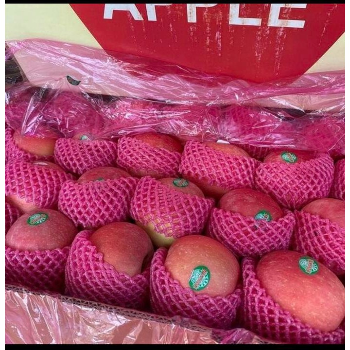 

TERLARIS Apel Fuji Premium fresh import 1 dus READY STOCK