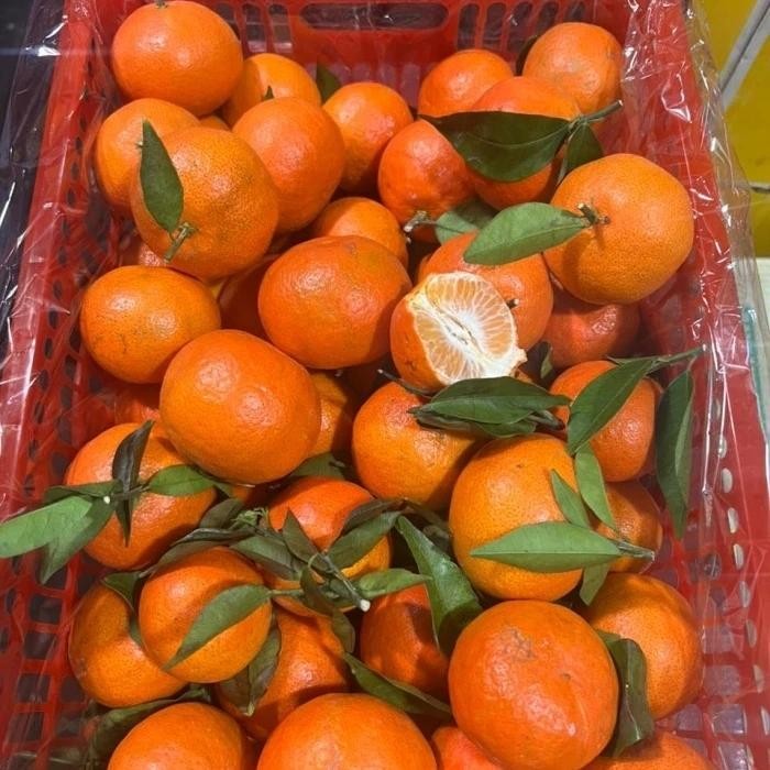 

TERMURAH Jeruk Santang 6kg Manis Less Seed (Biji Sedikit) READY STOCK