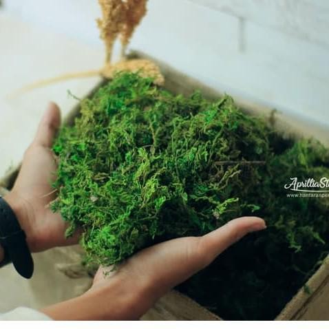 (Allthebest) lumut HIJAU PREMIUM artificial 1 kg lumut kering rumput halus sintetis