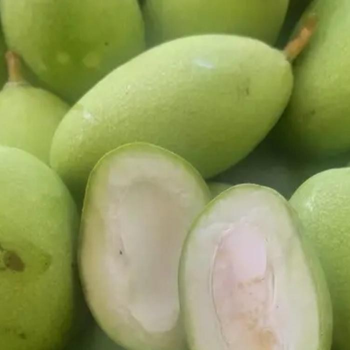 

SIAPKIRIM mangga muda garing mangga okiyong/mangga ciangmay /tailan fresh 1kg READY STOCK