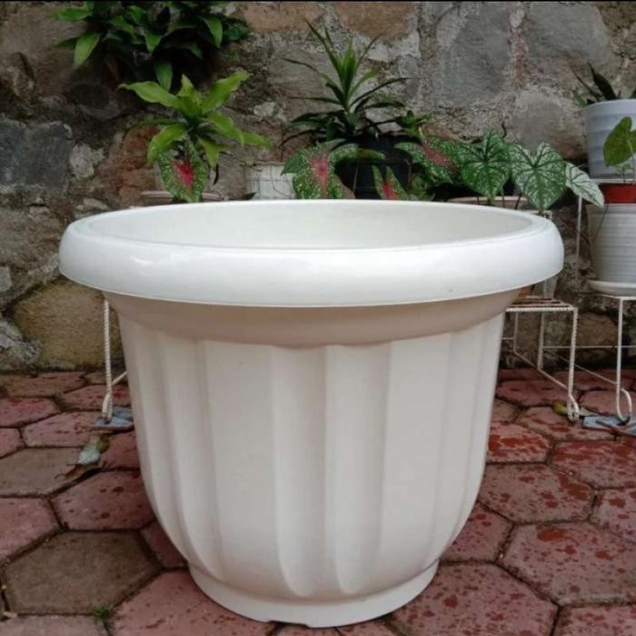 Pot Plastik Premium Besar Putih 60 Cm