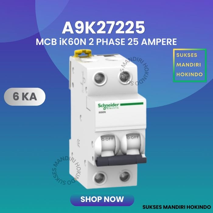 Terbaik Mcb 2P 25A 2 Phase 25 Ampere Ik60N 6Ka Schneider Ori Sni 2 Pole 25 A