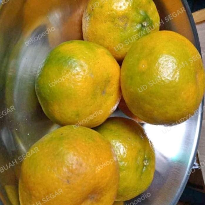 

DISKON BUAH JERUK KEPROK MANIS /1KG READY STOCK